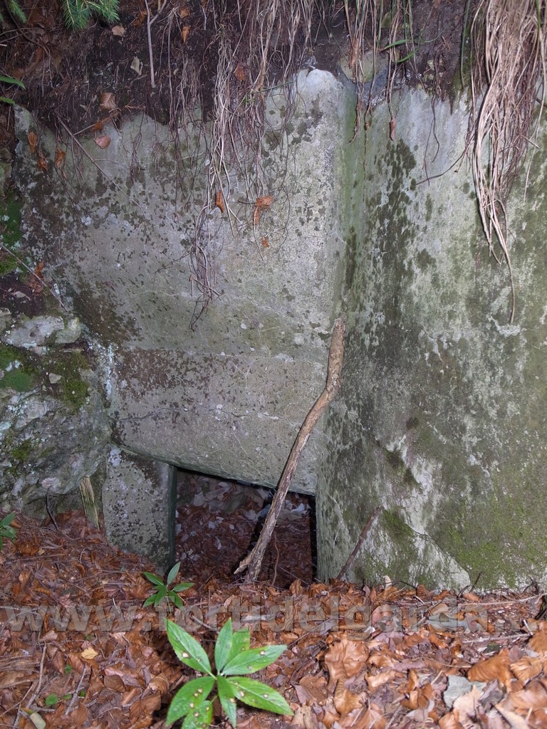 Bocca da fuoco cannone Passo Nota