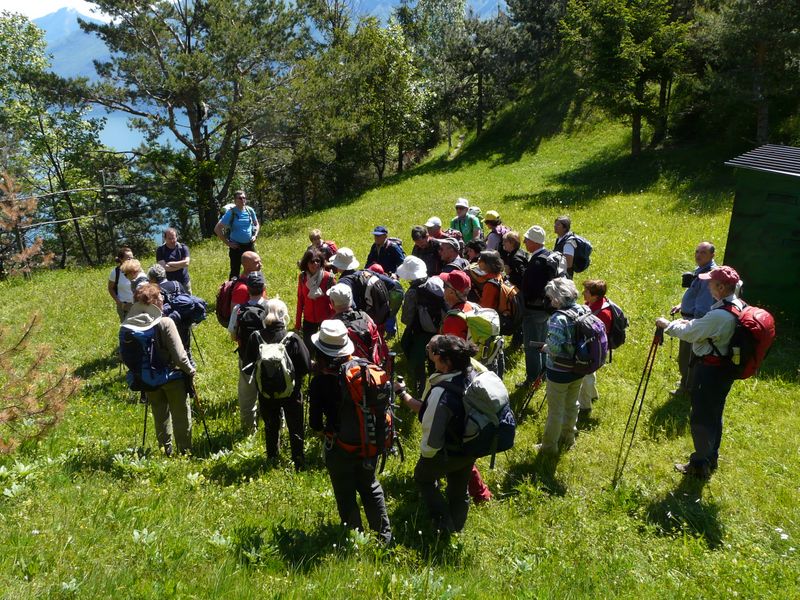 Escursione guidata alle fortificazioni